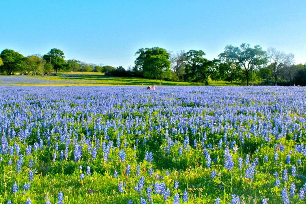 Square Inn Wimberley Esterno foto
